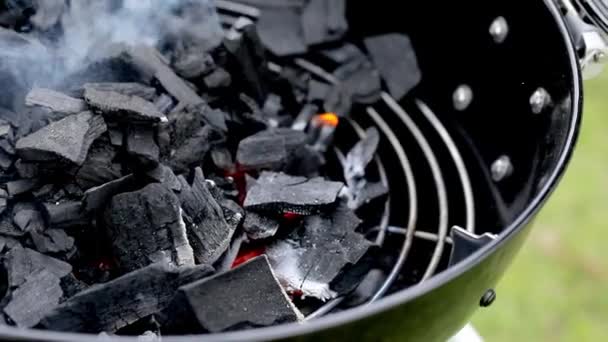 Piatti con deliziosi piatti freschi sul lungo tavolo nel caffè — Video Stock