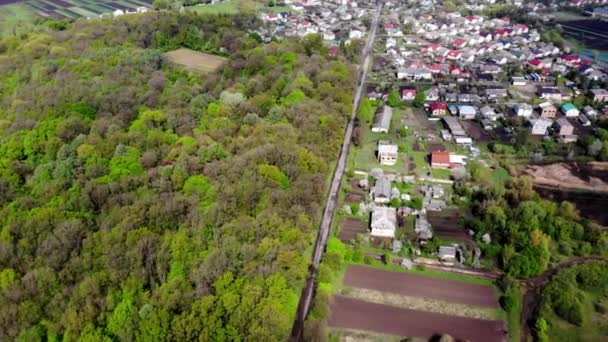 Le rovine della pianta sono conquistate dalla natura — Video Stock