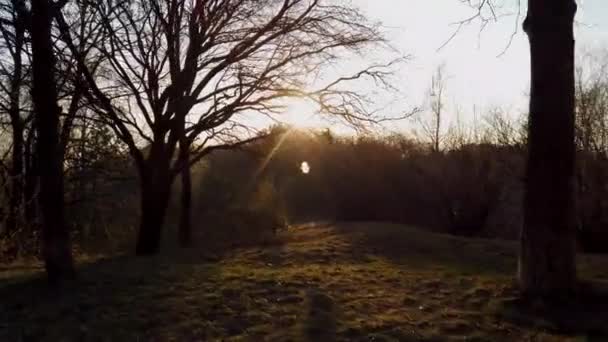 Tijdens een pandemie, een pretpark in een gouden herfstlandschap — Stockvideo