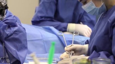 Cerrah doktor, elektrik koterapisi kalp ameliyatı müdahalesi, açık kordon ameliyatı, minimal invazif cerrahi kullanarak özel lamba ışığı takıyor.