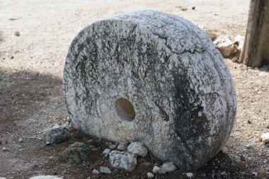 Ormanda eski bir değirmen çarkı İsrail