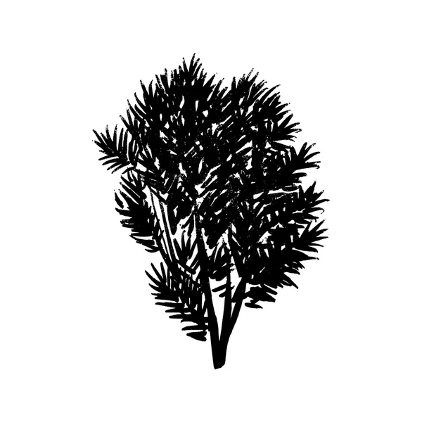 Dibujo de árbol a mano alzada — Vector de stock