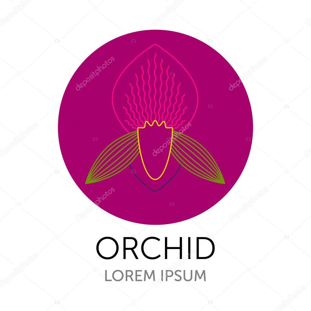 Vector illustration of an orchid flower, flower shop logo design, orchid gallery logo, flower icon.