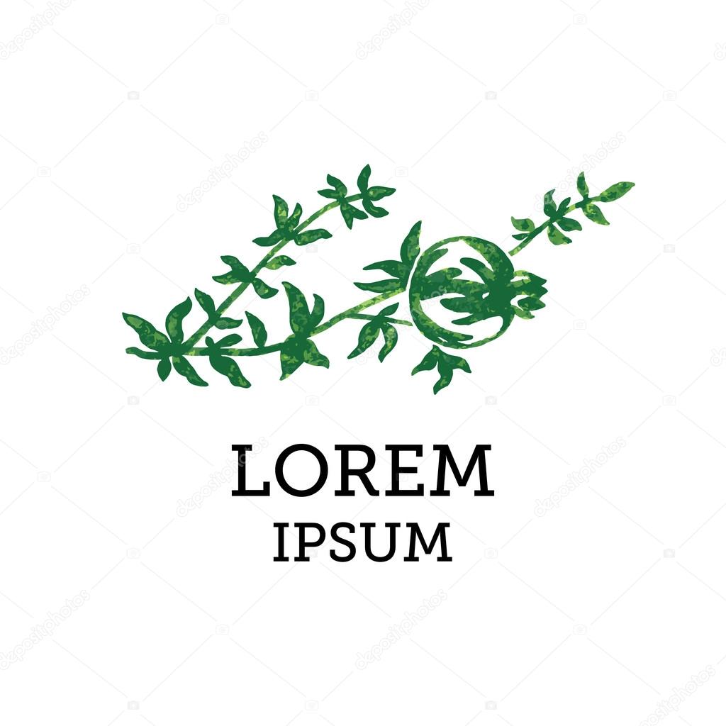Vector illustration of sketched pomegranate branches, freehand drawing, creative unique logo
