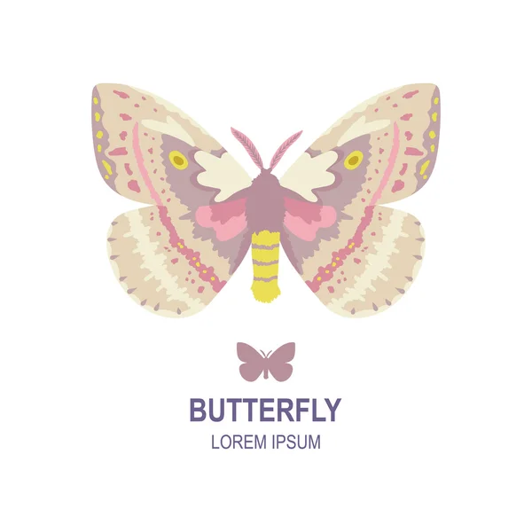 Butterfly logotyp mall — Stock vektor