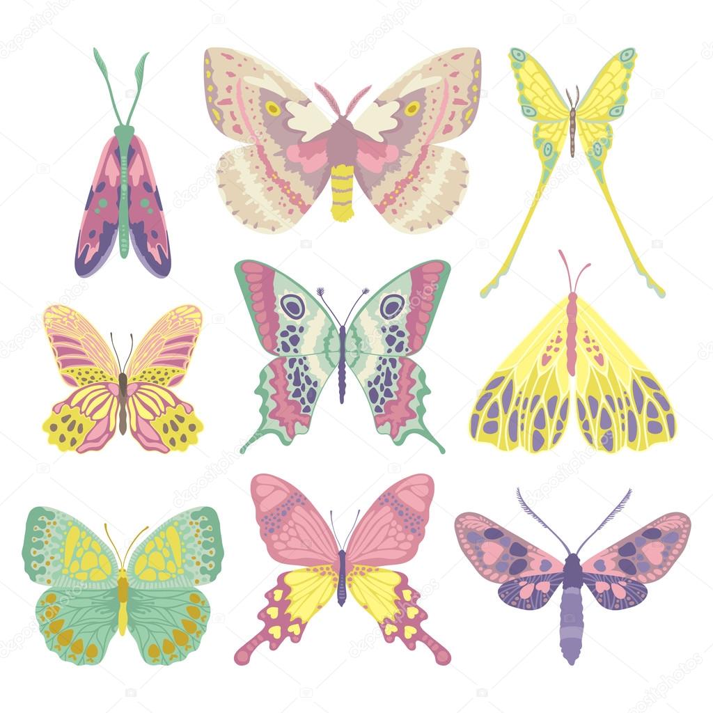 Vector illustration of butterfly, logo design concept, vector set of insects