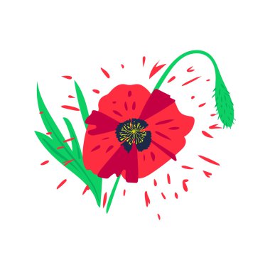 haşhaş çiçekli kart