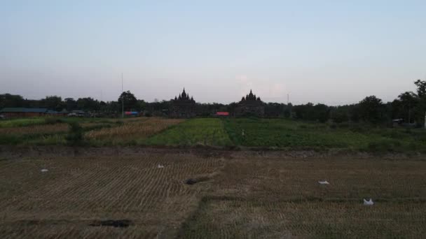 Vista Aérea Candi Plaosan Del Templo Plaosan Templo Del Complejo — Vídeos de Stock