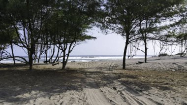 Endonezya 'da parangtrit plajı manzarası