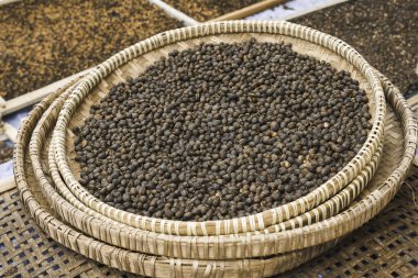 Endonezya 'nın geleneksel sepetinde güneşte kurutulan kahve çekirdekleri.