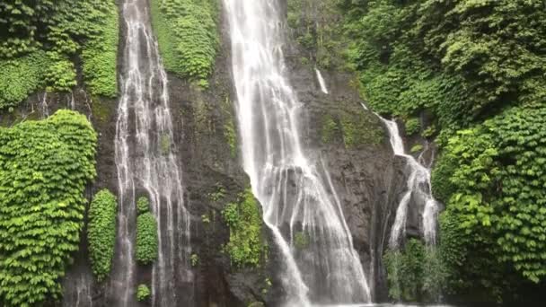Vodopád Banyumala Ostrově North Bali Indonésii Vodopád Džungle Kaskáda Tropickém — Stock video