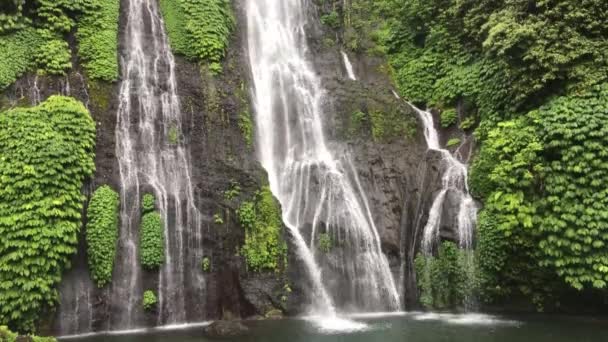 インドネシアのバリ島北部のバニュマラ滝 熱帯雨林では岩やターコイズブルーの池でジャングルの滝がカスケード — ストック動画