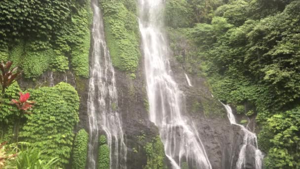 インドネシアのバリ島北部のバニュマラ滝 熱帯雨林では岩やターコイズブルーの池でジャングルの滝がカスケード — ストック動画