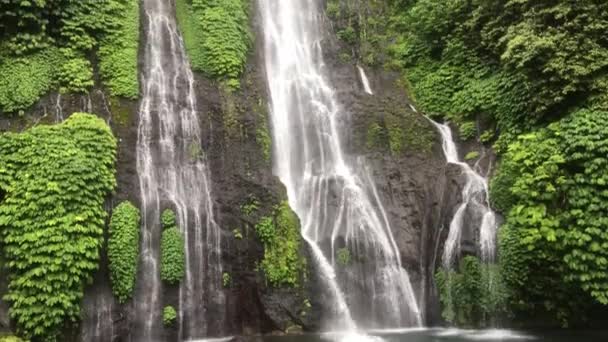 Cachoeira Banyumala Ilha North Bali Indonésia Cascata Cachoeira Selva Floresta — Vídeo de Stock