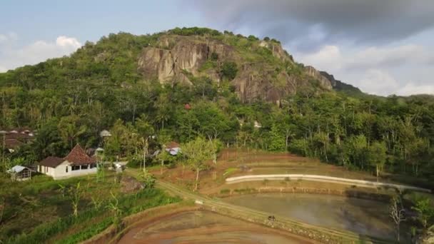 Pemandangan Udara Dari Sawah Petani Menanam Padi Gunung Kidul Indonesia — Stok Video