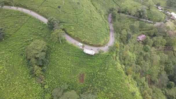 Vue Aérienne Dessus Route Centre Plantation Thé Kemuning Indonésie — Video