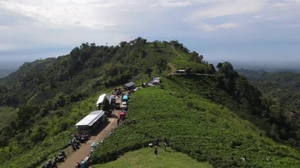 Vue Aérienne Plantation Thé Kemuning Indonésie Avec Fond Montagne Lawu — Video