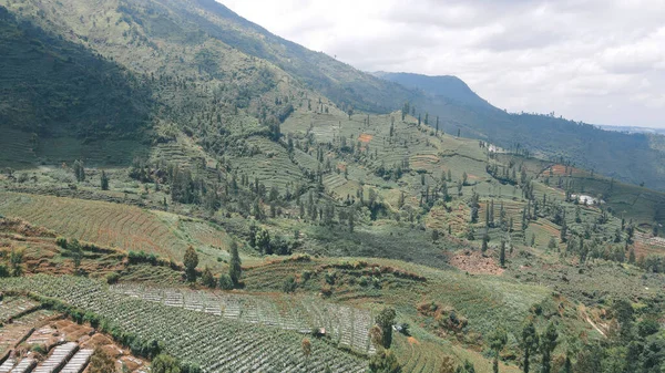 Vista Aérea Del Valle Montaña Con Paisajes Verdes Sindoro Vulcano — Foto de Stock