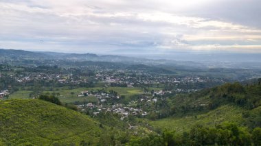 Kemuning, Endonezya 'daki Lawu Dağı arka planına sahip çay tarlasının havadan görünüşü