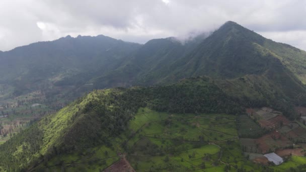 Pemandangan Udara Gunung Dengan Pemandangan Hijau Sindoro Vulcano — Stok Video