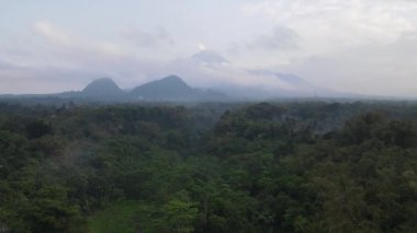 Merapi Dağı manzarası, pirinç tarlası ve Endonezya Volkanik Manzarası Yogyakarta köyü..