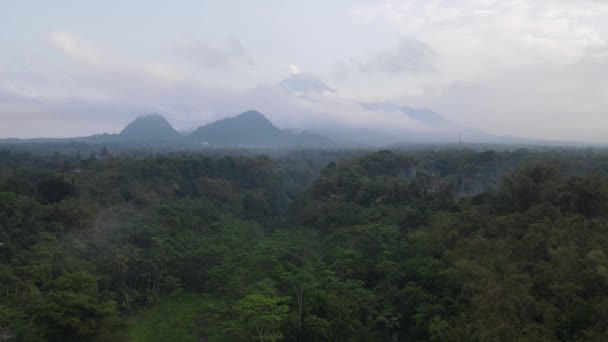 Letecký Pohled Krajinu Mount Merapi Rýžovým Polem Vesnicí Yogyakartě Indonésie — Stock video