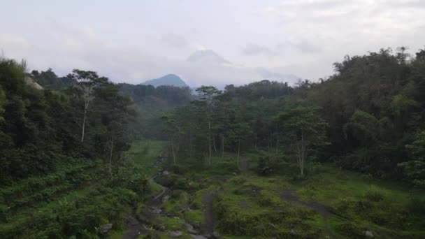 Letecký Pohled Krajinu Mount Merapi Rýžovým Polem Vesnicí Yogyakartě Indonésie — Stock video