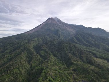 Merapi Dağı manzarası, pirinç tarlası ve Endonezya Volkanik Manzarası Yogyakarta köyü..