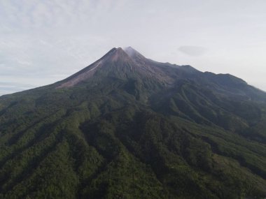 Merapi Dağı manzarası, pirinç tarlası ve Endonezya Volkanik Manzarası Yogyakarta köyü..