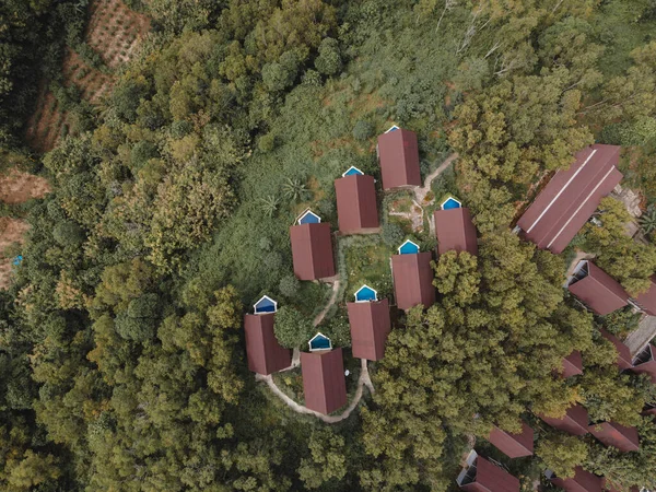 Aerial view of beautiful isolated villa with small swimming pool in the middle of a forest