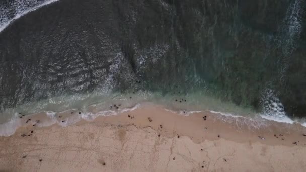 Вид Воздуха Беспилотника Пляж Гунунг Кидул Индонезия Океаном Лодками Пляжем — стоковое видео