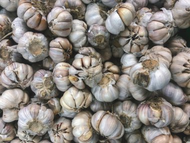Beyaz sarımsak kazık doku. Pazar tablo closeup fotoğraf üstünde taze sarımsak.
