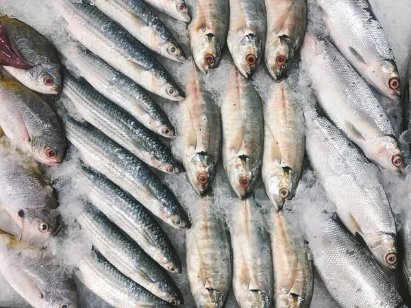 Pescado Fresco Sobre Hielo Mercado Indonesio — Foto de Stock