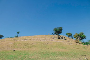 Green Hills, arkadan görünüş yürüyüş yürüyüş yapan grup. Seyahat turizm bulma kavramı