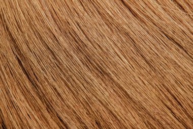 Hindistan cevizi samanından yapılan süpürgenin yakın plan resmi, arka plan olarak kullanılabilir.