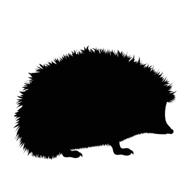 Beyaz arkaplanda kirpinin vektör silueti.