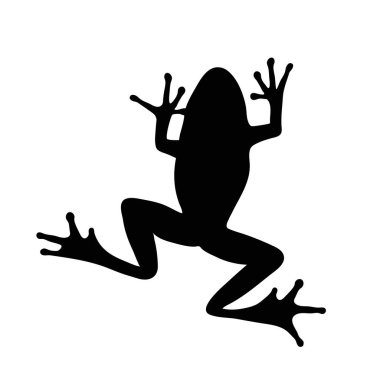 Beyaz arkaplanda kurbağanın vektör silueti.