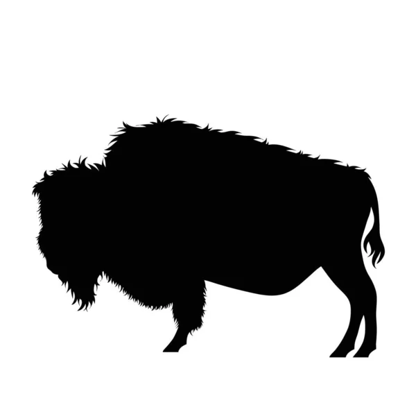 Vektorsilhouette Von Büffeln Auf Weißem Hintergrund — Stockvektor
