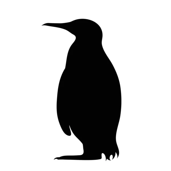 Vector Silhouette Penguin White Background — Stock Vector