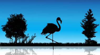 Beyaz arka planda flamingoyu gösteren vektör çizimi. Vahşi hayvan..