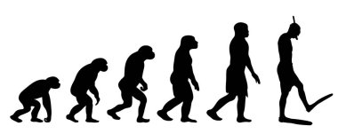 Painted theory of evolution of woman. Vector silhouette of homo sapiens. Symbol from monkey to diver. clipart