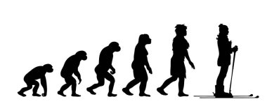 Kadın evriminin resmedilmiş teorisi. Homo sapiens 'in vektör silueti. Maymundan kayakçıya sembol.