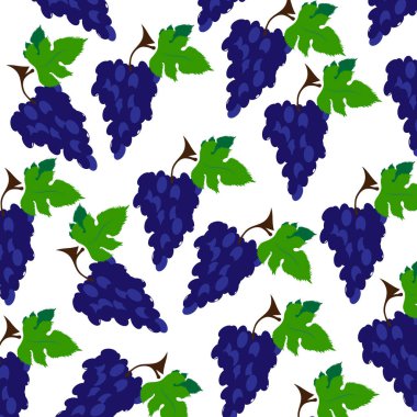 Beyaz arka planda boyalı üzümlerin vektör çizimi. Meyve, yemek, vejetaryen, vejetaryen sembolü.