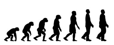 İnsanın evrim teorisi. Homo sapiens 'in vektör silueti. Maymundan şişman adama sembol.