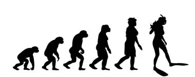 Theory of evolution of woman. Vector silhouette of homo sapiens. Symbol from monkey to diver. clipart