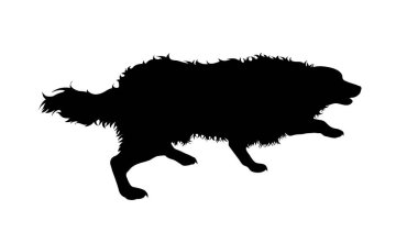 Koşan köpek ikonu. Beyaz arkaplanda vektör silueti.