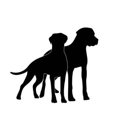Beyaz arka planda kedi ve köpeğin vektör silueti. Hayvanların ve veterinerlerin sembolü.