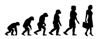 Kadın evriminin resmedilmiş teorisi. Homo sapiens 'in vektör silueti. Maymundan iş kadınına sembol.