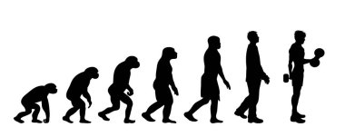 İnsan evriminin resmedilmiş teorisi. Homo sapiens 'in vektör silueti. Maymundan vücut geliştiriciye sembol.