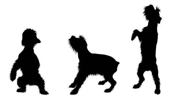 Silhoutte Vectorial Perros Set Sobre Fondo Blanco Símbolo Animal Veterinario — Vector de stock